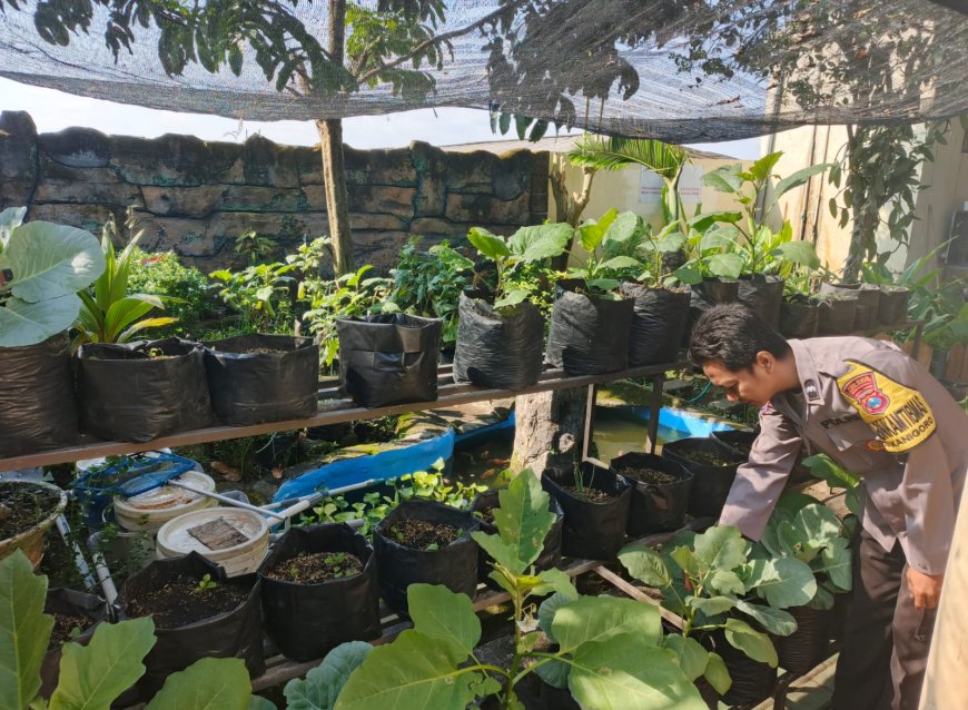 Polres Malang Perkuat Ketahanan Pangan dengan Optimalisasi Lahan Pekarangan