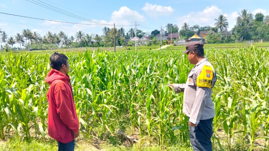 Polres Malang Konsisten Dukung Ketahanan Pangan Melalui Program Pekarangan Produktif